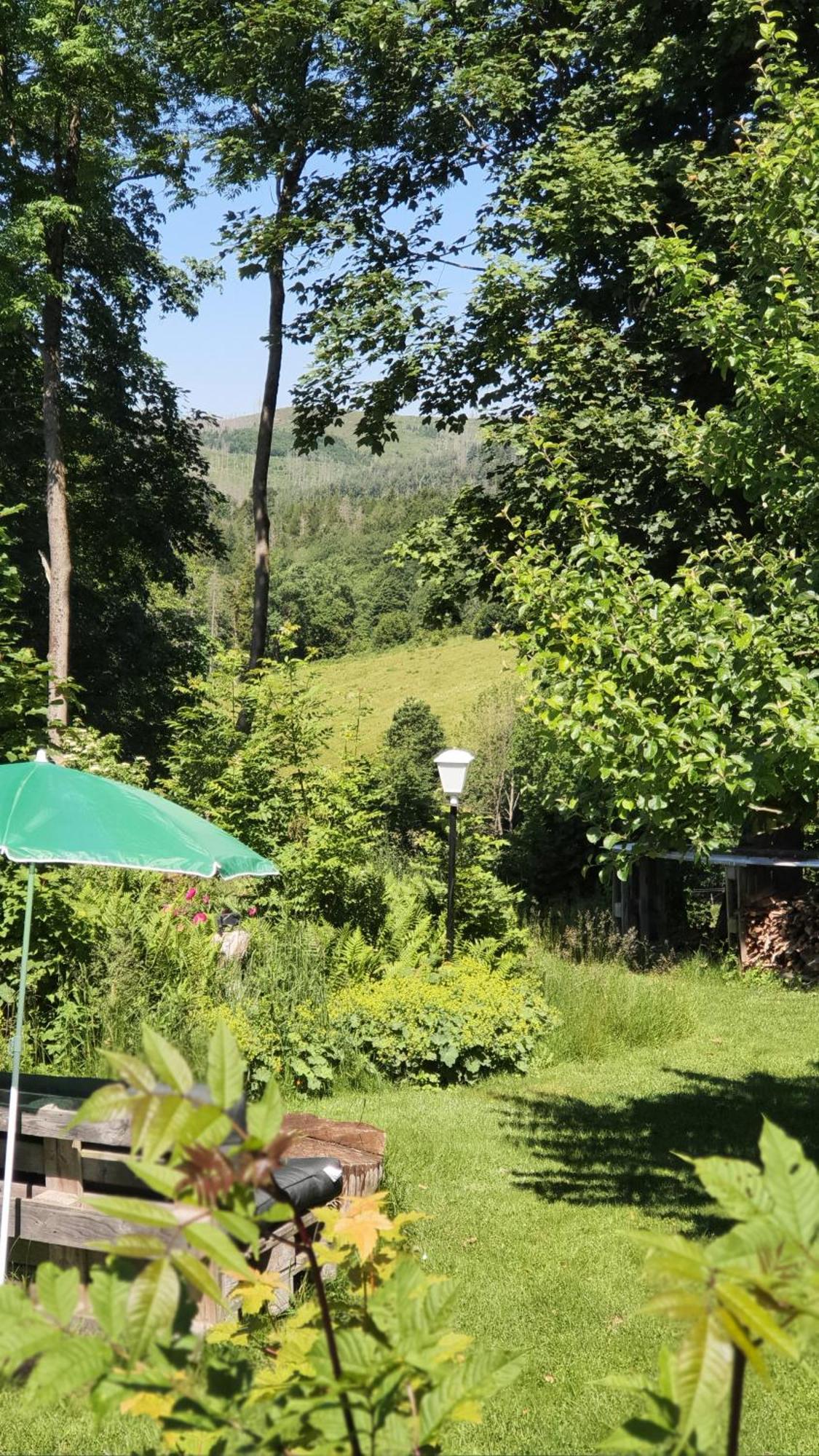 Hotel Schneiderhof Braunlage Kültér fotó